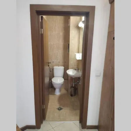 Large Gondola - Center, Neon * 반스코